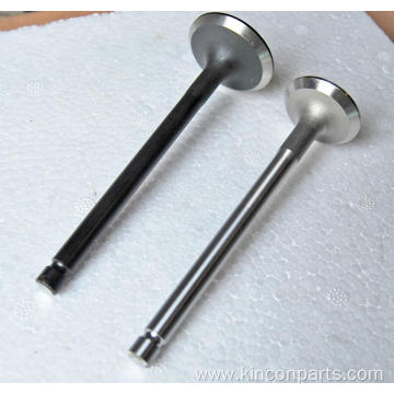 Engine Valves 483